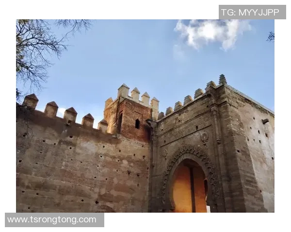 探索埃斯特旺的魅力与历史深度，揭示这座城市的独特文化与风土人情