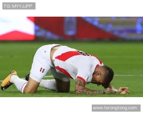 纽西兰对秘鲁精彩直播全程回顾与赛后分析