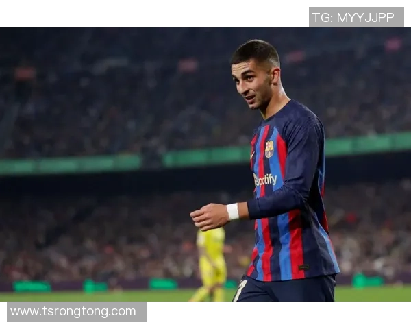 费兰托雷斯的崛起之路：从青训小将到足球巨星的华丽转身