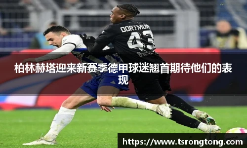 Bsports必一体育