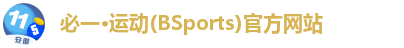 必一·运动(BSports)官方网站